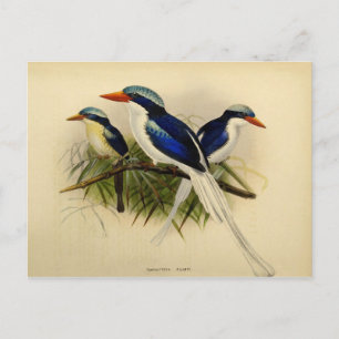 Beispiel für Fischer Postkarte
