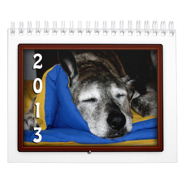Beispiel für Foto-Frame-Kalender Kalender (Titelbild)