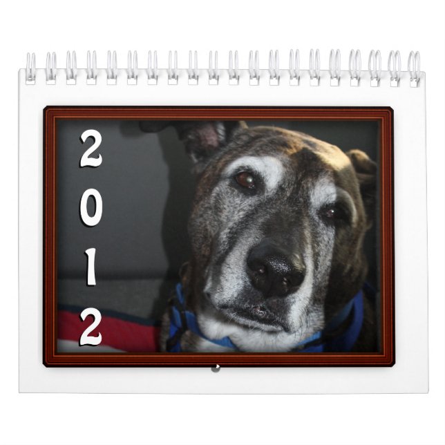 Beispiel für Foto-Frame-Kalender Kalender (Titelbild)