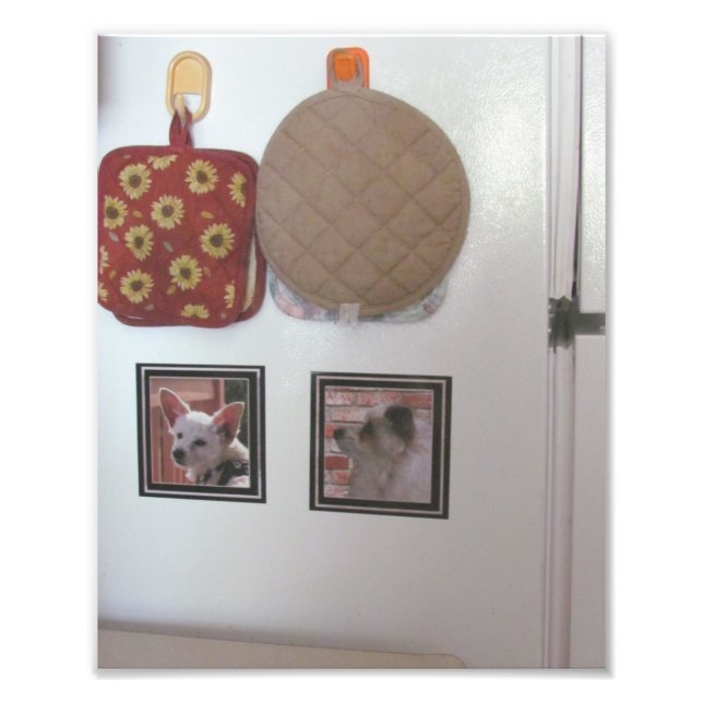 Beispiel-Kühlschrankmagnet Fotodruck (Vorne)