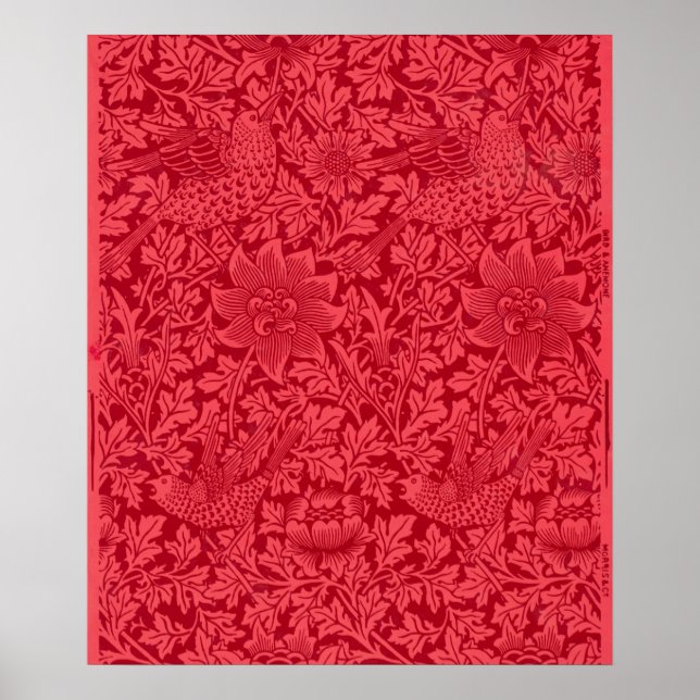 Beispiel von Bird, Anemone Wallpaper von Morris Poster (Vorne)