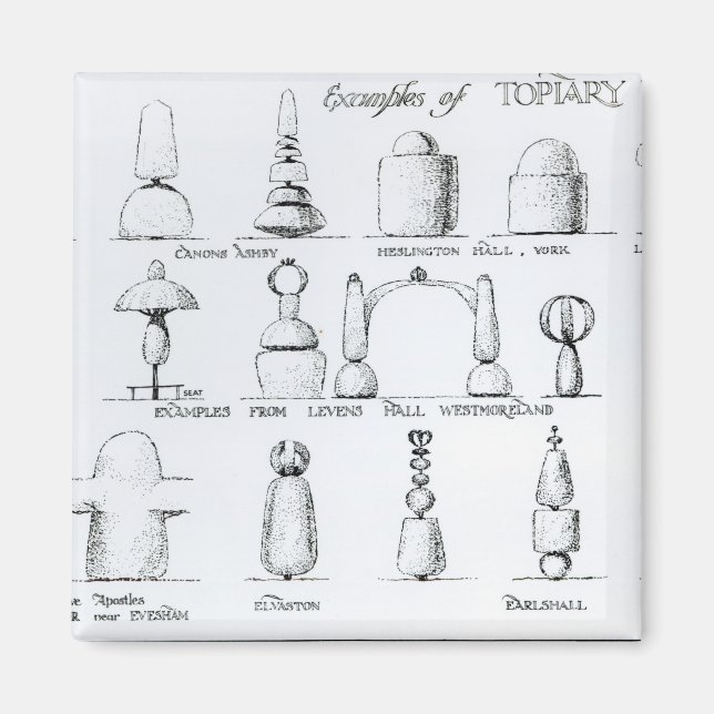 Beispiele für Topiary Work, 1902 (Gravur) (b/w ph Magnet (Vorne)