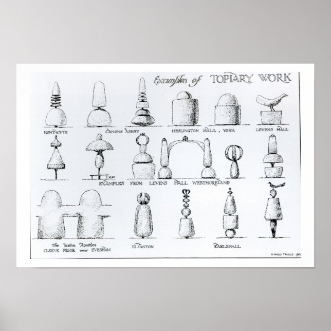 Beispiele für Topiary Work, 1902 (Gravur) (b/w ph Poster (Vorne)