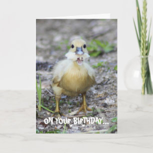 Beißen Sie mehr, als Sie kauen können Karte