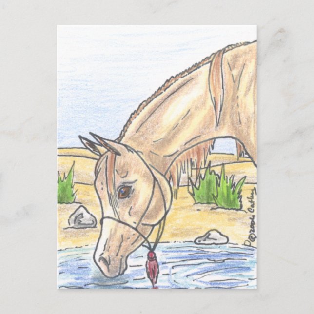 ‚Bejh bint Ahwa‘  Postkarte (Vorderseite)