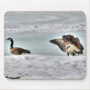 Bekämpfung des Fotos Geese & Snow Mousepad