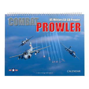 BEKÄMPFUNGSPROWLER - EA-6B-Prowler Kalender