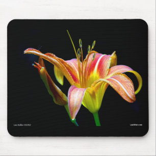 Bekleidung und Geschenke der Tawny Taglilie II Mousepad