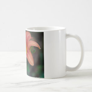 Bekleidung und Geschenke für Tawny Taglilie Kaffeetasse