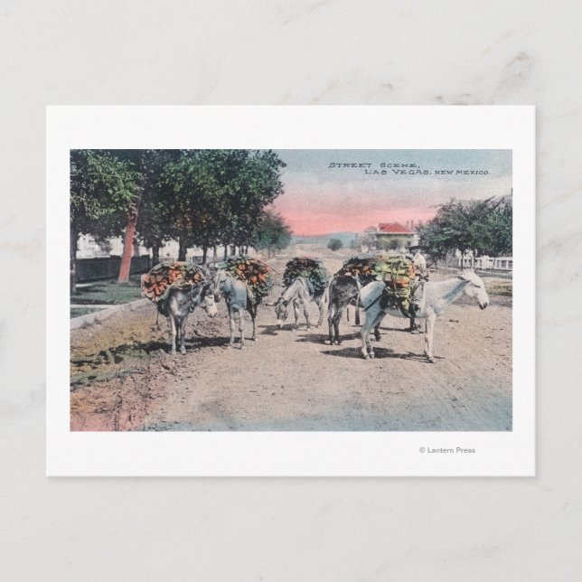 Beladene Donkeys auf der StreetLas Vegas, NM Postkarte (Vorderseite)