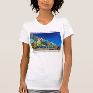 Belarus Б л а е с р у MinskьМинJangJangArchitektur T-Shirt