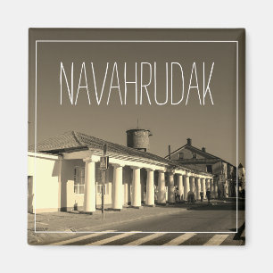 Belarus Б л а р с е Navahrudak Novogrudok Magnet