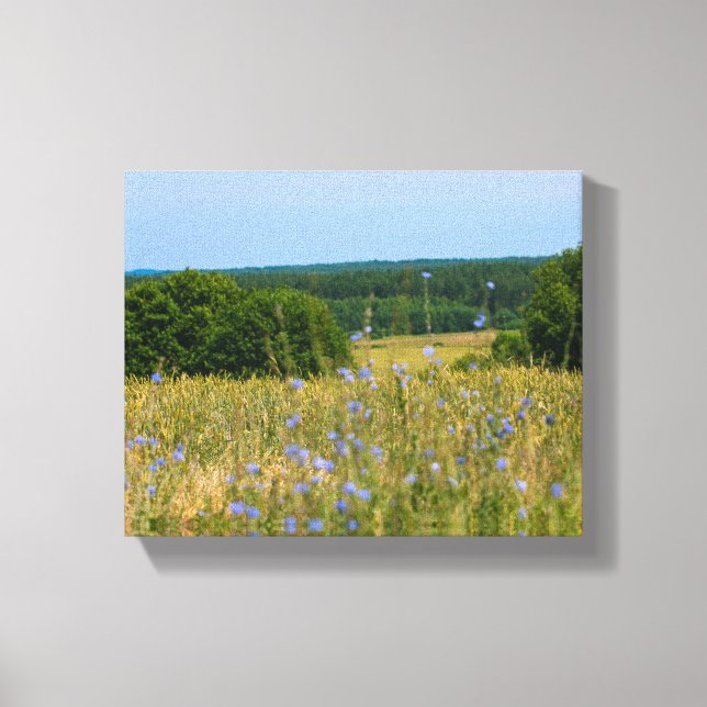 Belarus Landschaft Landschaft Landschaft Leinwand  (Vorderseite)