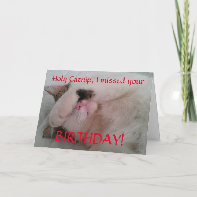Belated Birthday Cat Spaß Karte (Vorderseite)