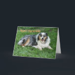 Belated Birthday-customize Karte<br><div class="desc">Ol' Duke was my Dad's dog and Daddy's spoiled him rotten with cookies. Australian Shepherds make wonderful companions. Use the gefühle inside or change to your words with my easy template.</div>