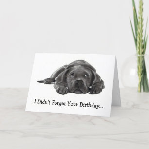 BELATED BIRTHDAY: HATTE NICHT VERGESSEN: ZU LAZY, KARTE