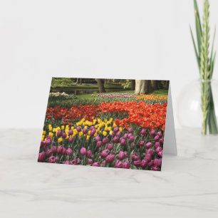 Belated Birthday Wish Keukenhof Garden Karte