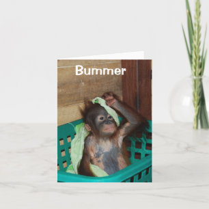 Belated Happy Birthday Ich bin Sorry Karte