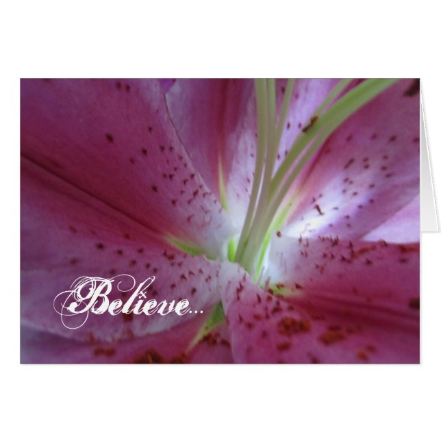 beleuchtet (Vorderseite (Horizontal))