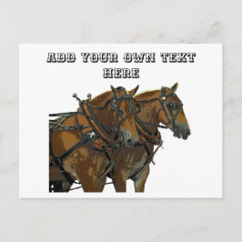 Belgian Horse Team All Purpose Postcard Postkarte