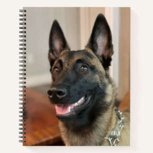 Belgian Malinois Dog Notizbuch