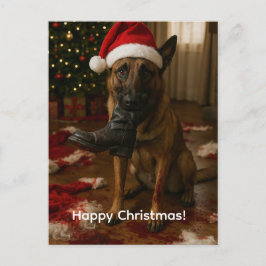 Belgian Malinois Eaten Santa Christmas postcard Feiertagspostkarte
