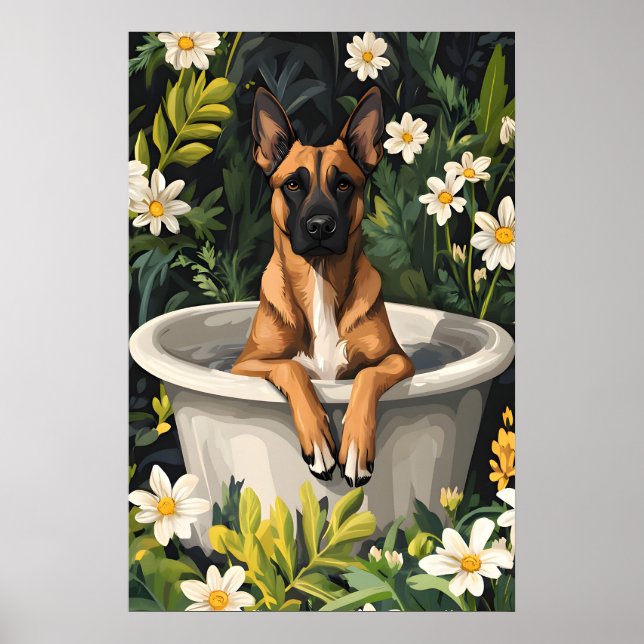 Belgian Malinois In Bathtub Poster, Funny Dog Poster (Vorne)