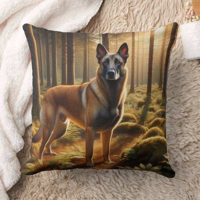 Belgian Malinois Kissen (Decke)