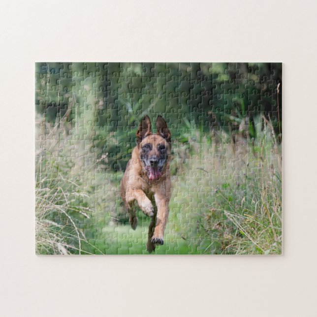 Belgian Malinois Running Puzzle (Horizontal)