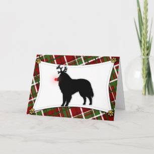 Belgian Sheepdog Reindeer Christmas Card Feiertagskarte