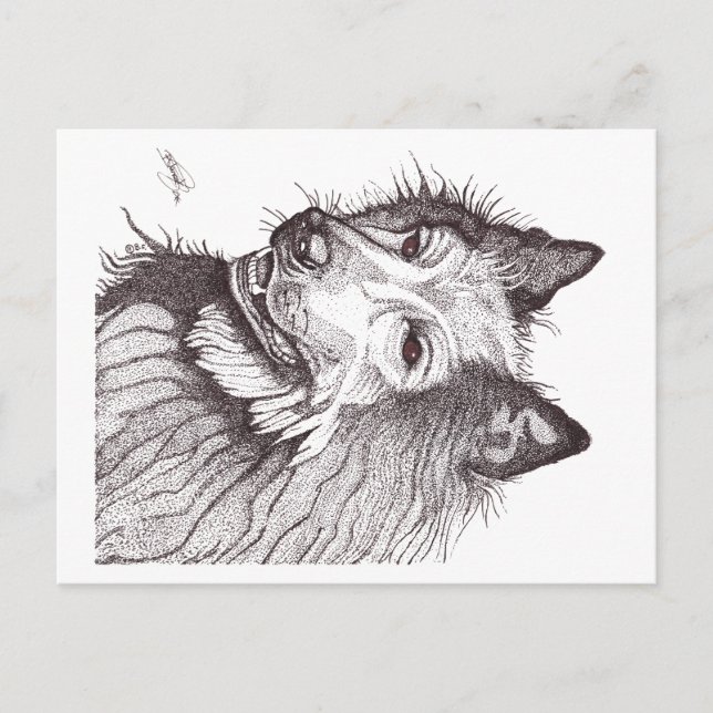 BELGIAN SHEPHERD GROENENDAEL FEIERTAGSPOSTKARTE (Vorderseite)