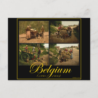 Belgien Dog-Cart Milk Seller Vintage Images Postkarte