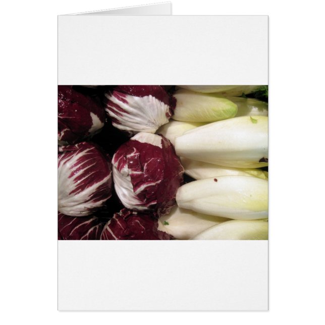 Belgien Endigo (Vorne)