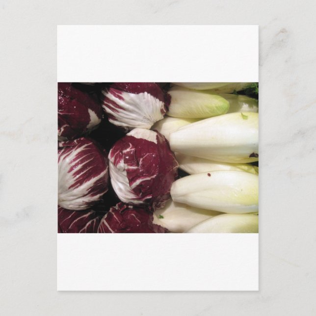 Belgien Endigo Postkarte (Vorderseite)