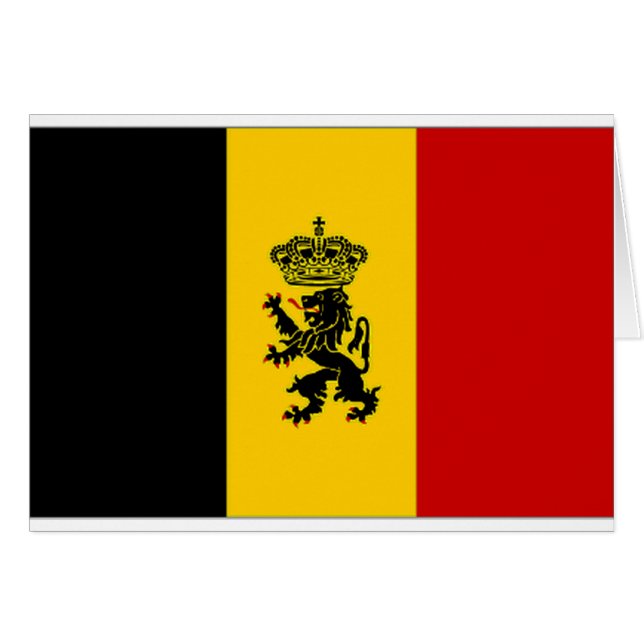 Belgien-Regierungs-Fahne-Flagge (Vorderseite (Horizontal))