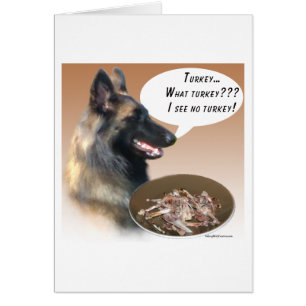 Belgien Tervuren Türkei