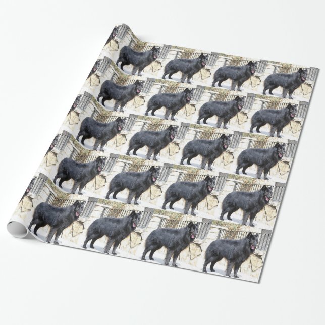 Belgier (Groenendael) voll Geschenkpapier (Ungerollt)