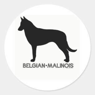 Belgier Malinois Aufkleber