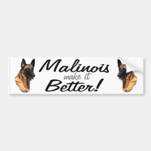 Belgier Malinois Autoaufkleber
