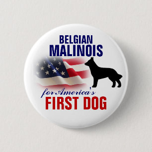 Belgier Malinois für ersten Hund Button