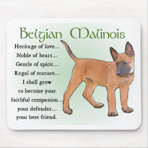 Belgier Malinois Geschenke Mousepad