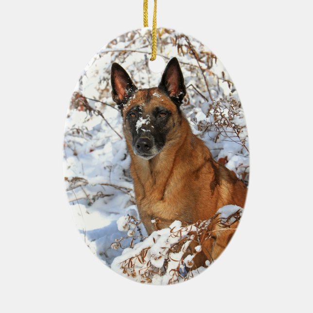 Belgier Malinois in der Schneeverzierung Keramik Ornament (Hinten)