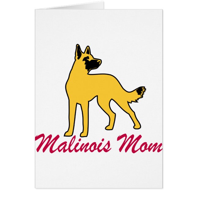 Belgier Malinois Mama (Vorne)