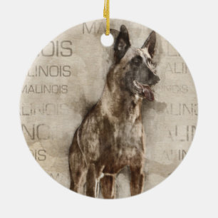 Belgier Malinois - Mechelaar - Maligator Keramik Ornament