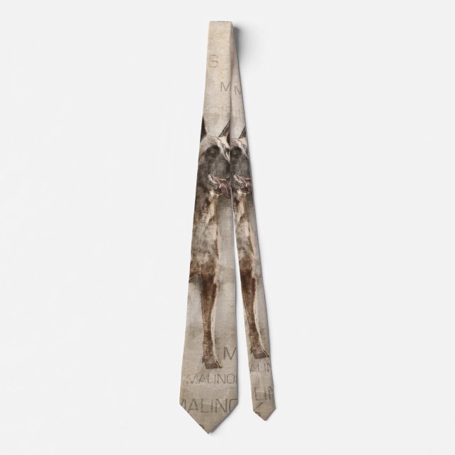 Belgier Malinois - Mechelaar - Maligator Krawatte (Vorderseite)