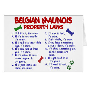 BELGIER MALINOIS PL2