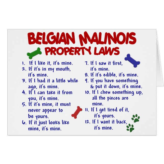 BELGIER MALINOIS PL2 (Vorderseite (Horizontal))