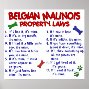 BELGIER MALINOIS PL2 POSTER