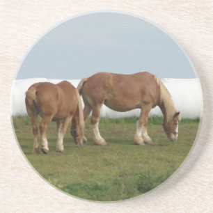 Belgier Sandstein Untersetzer