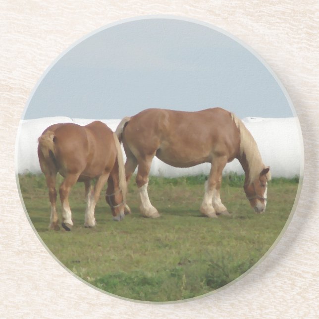 Belgier Sandstein Untersetzer (Vorne)